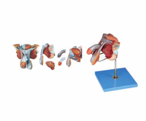 BioLab Products